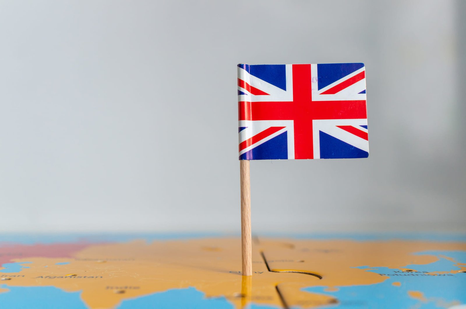 Gonzalez Carrillo Traductora